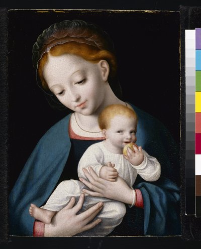 Virgin and Child by Cornelis van Cleve